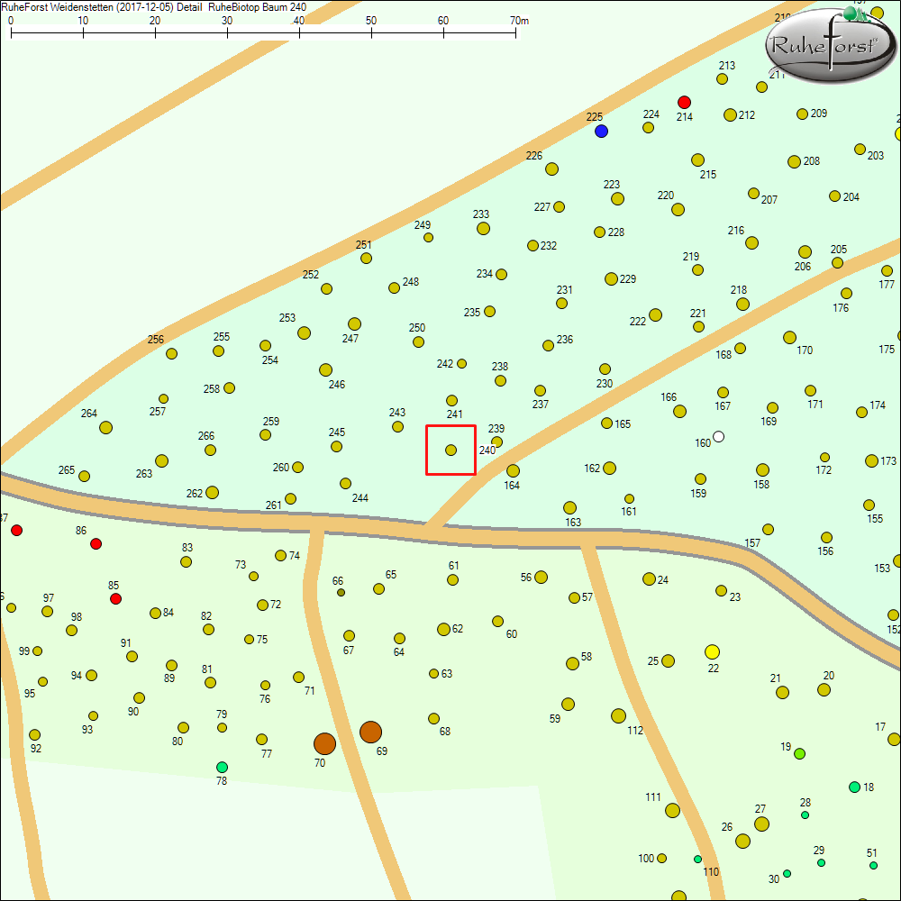 Detailkarte zu Baum 240