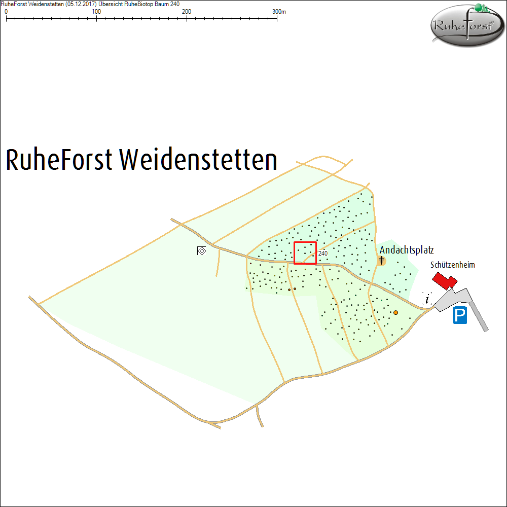 &Uuml;bersichtskarte zu Baum 240