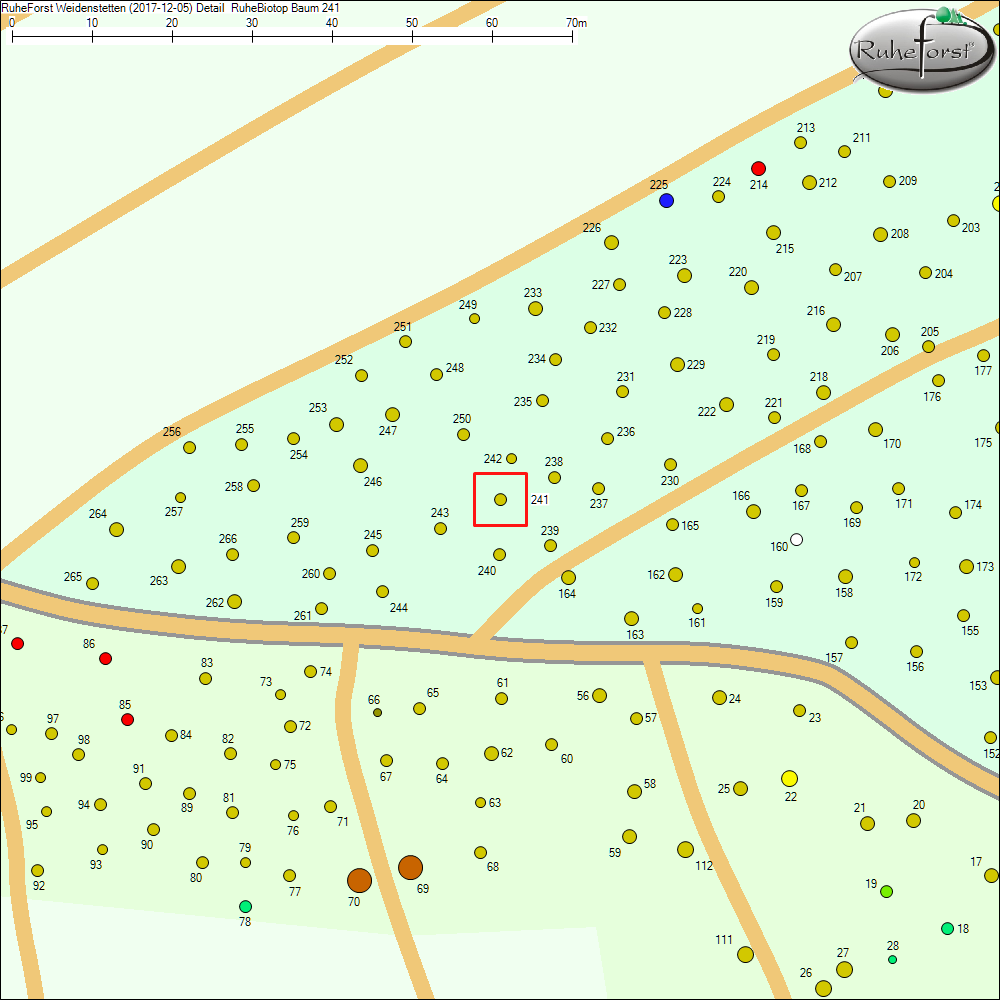 Detailkarte zu Baum 241