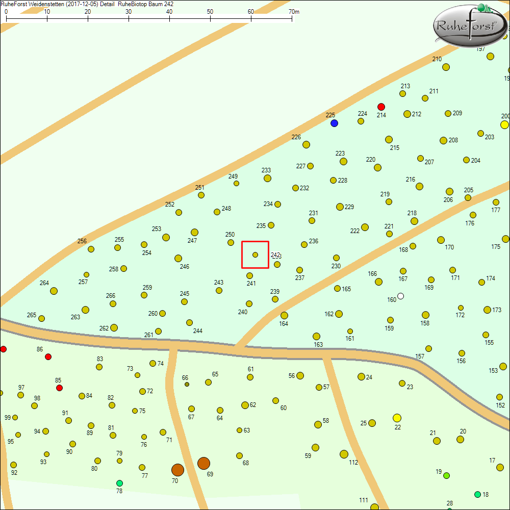 Detailkarte zu Baum 242