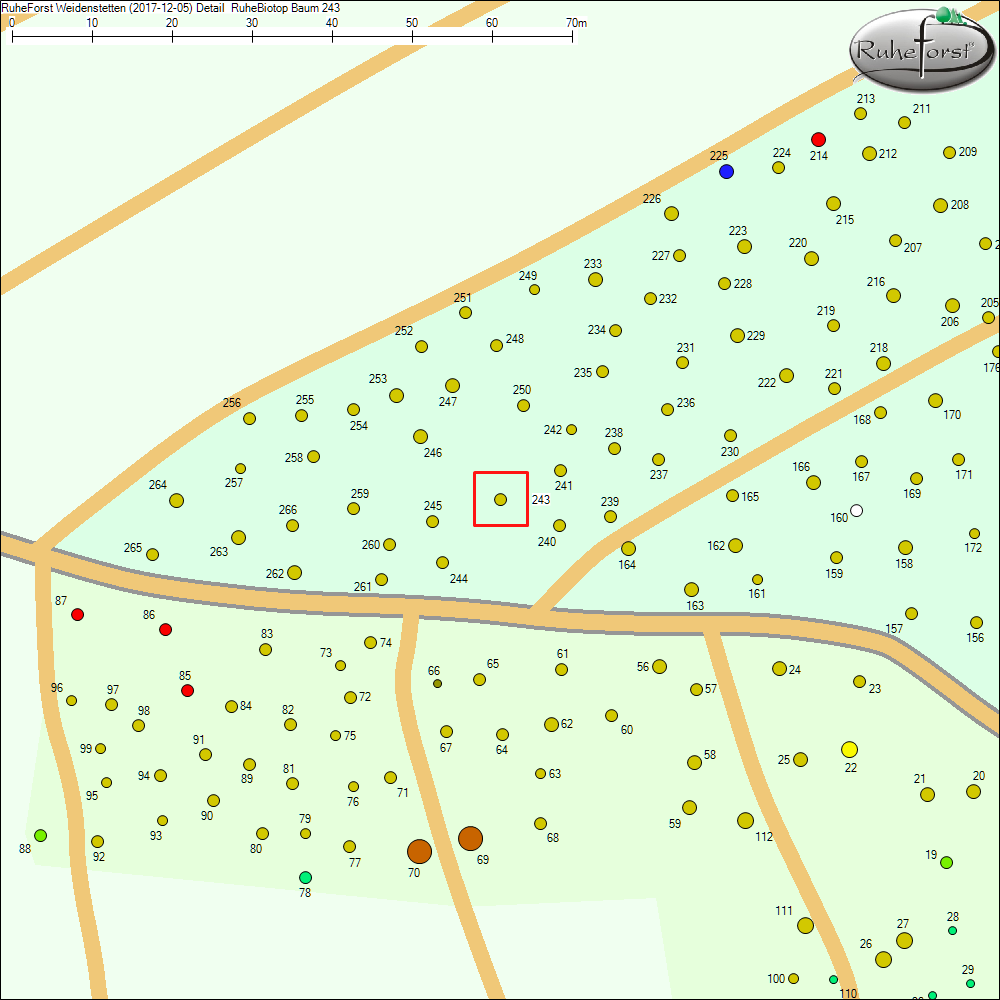 Detailkarte zu Baum 243