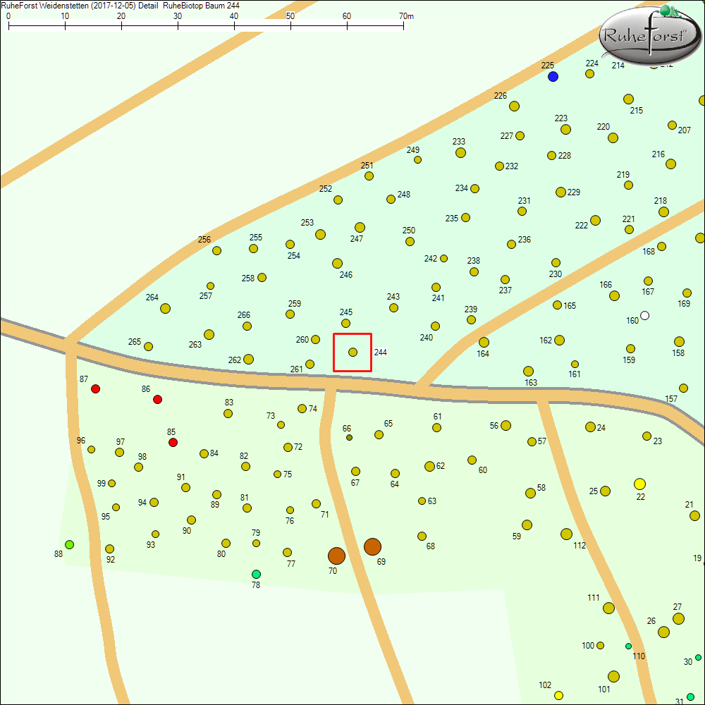 Detailkarte zu Baum 244