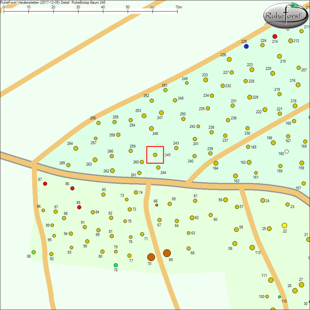 Detailkarte zu Baum 245