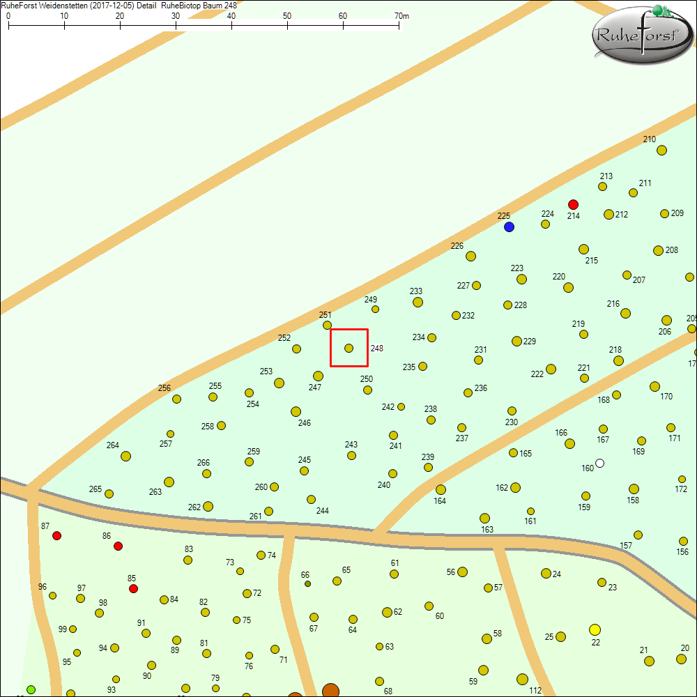 Detailkarte zu Baum 248
