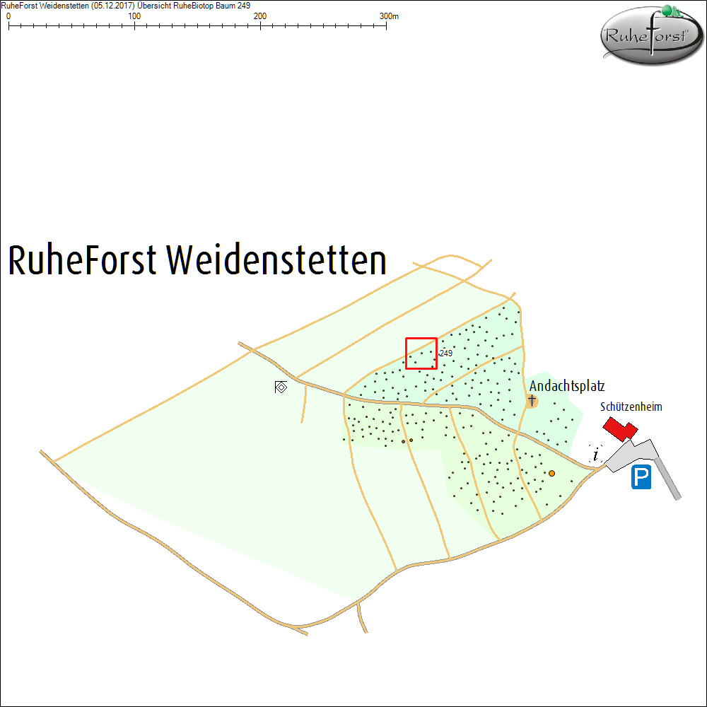 &Uuml;bersichtskarte zu Baum 249