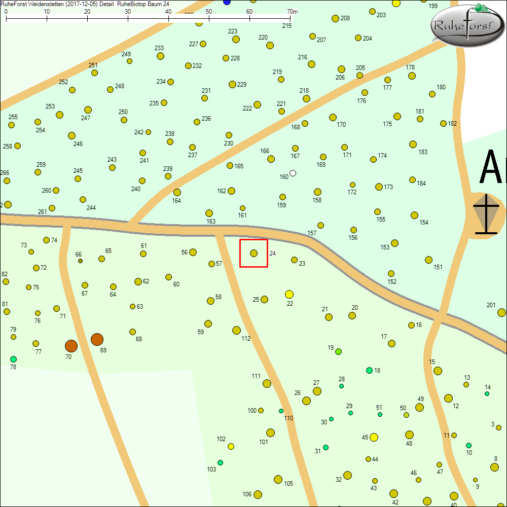Detailkarte zu Baum 24