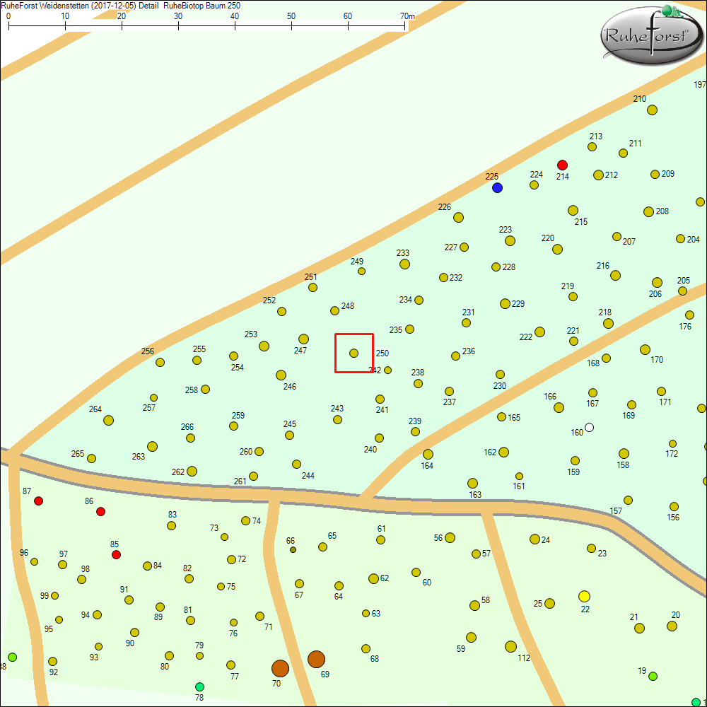 Detailkarte zu Baum 250