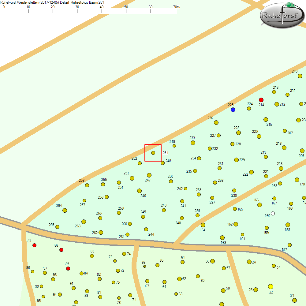 Detailkarte zu Baum 251