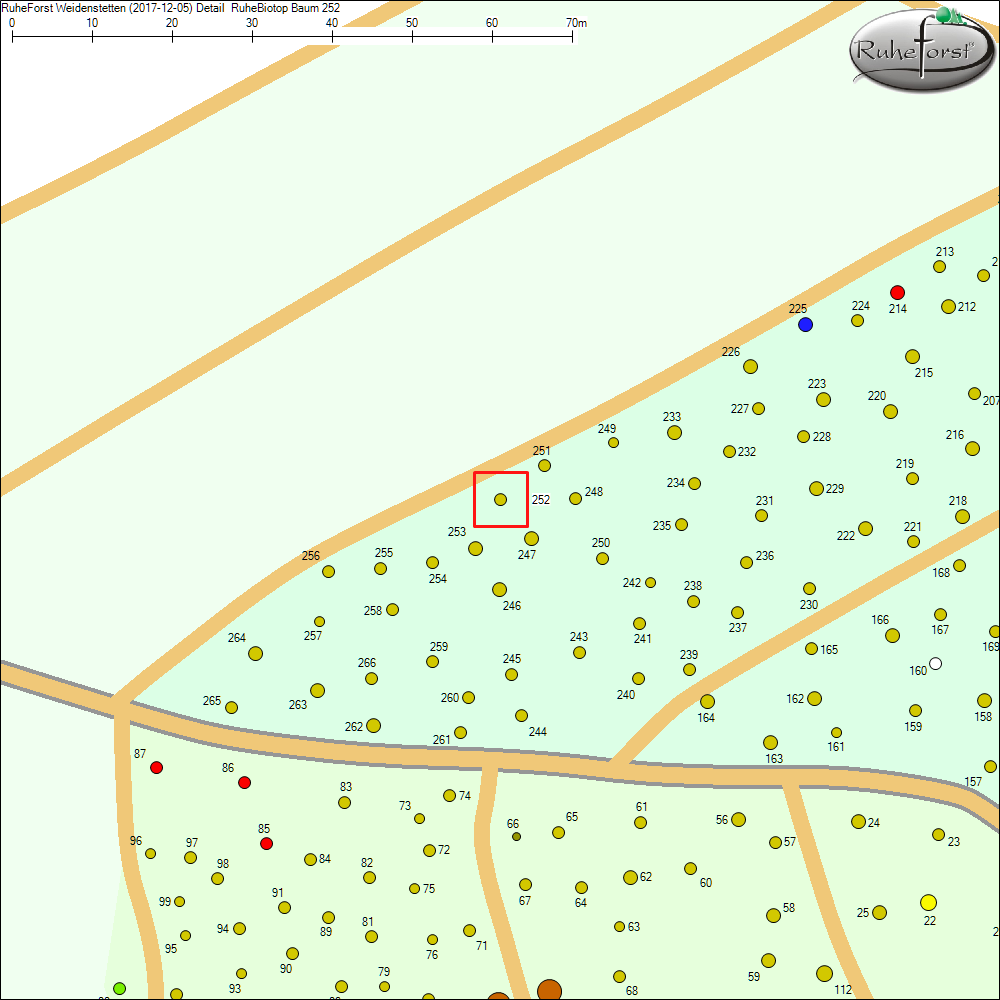 Detailkarte zu Baum 252