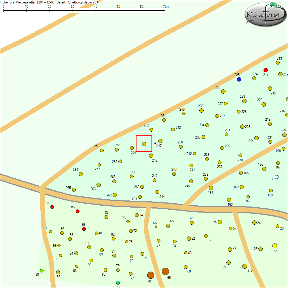 Detailkarte zu Baum 253