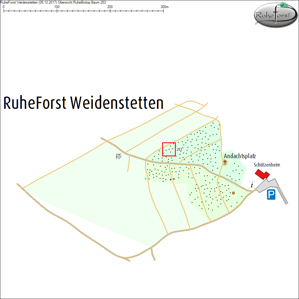 &Uuml;bersichtskarte zu Baum 253