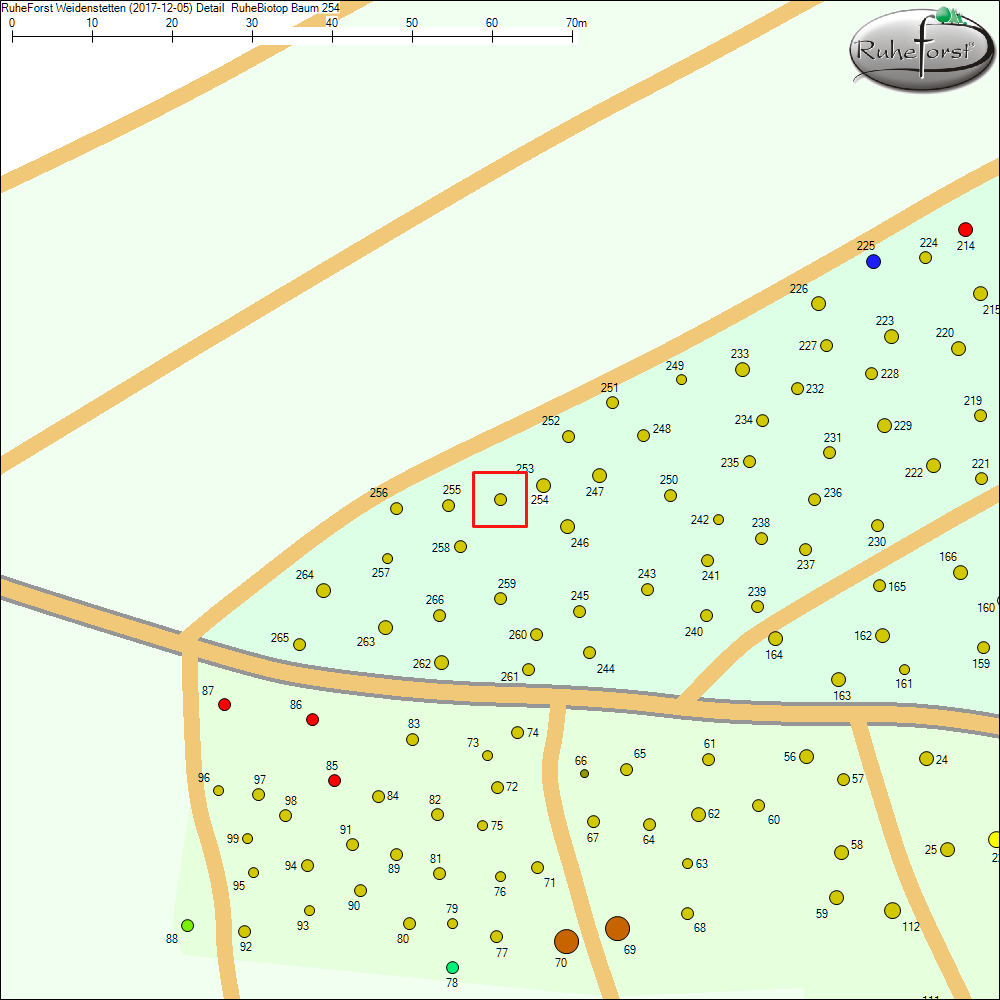 Detailkarte zu Baum 254