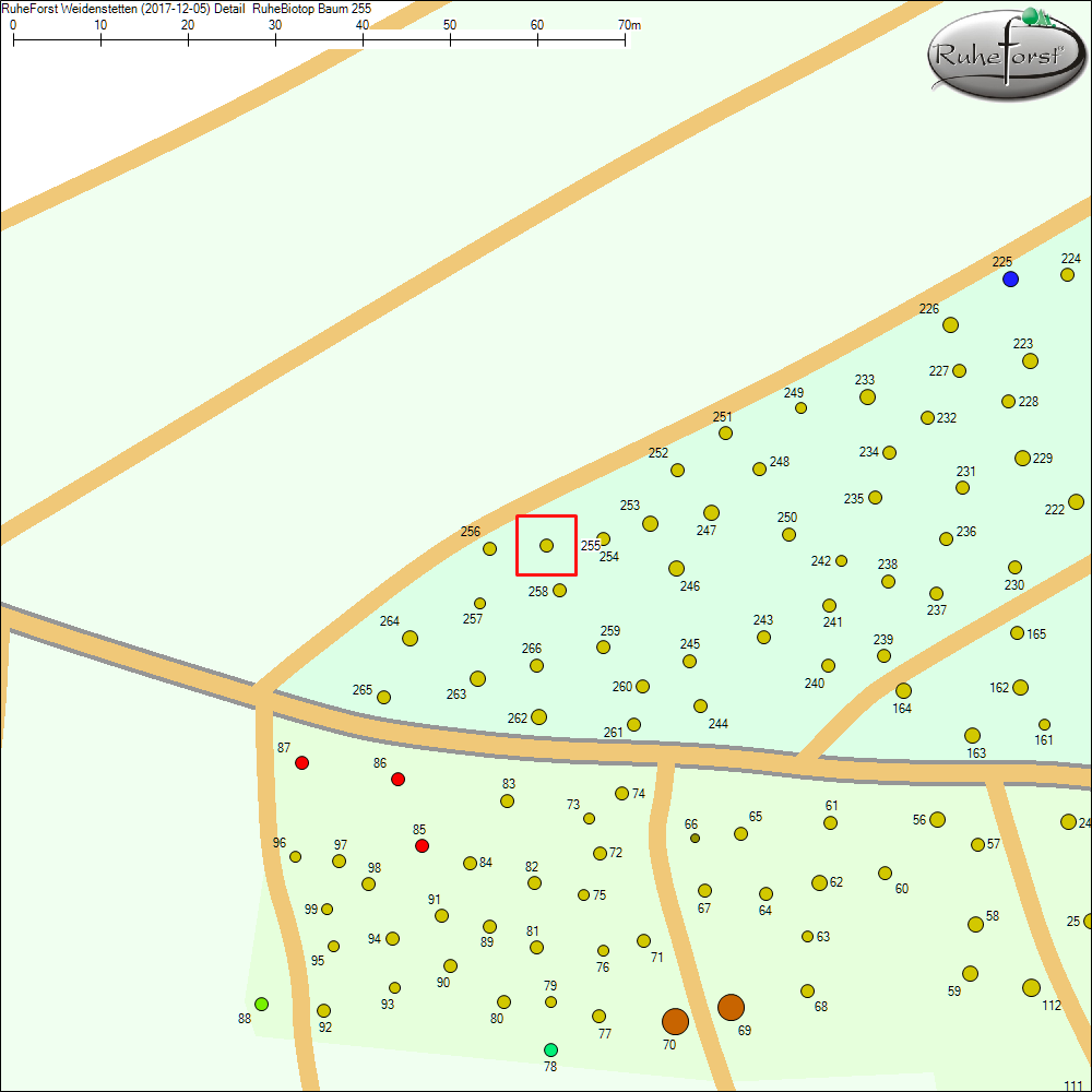 Detailkarte zu Baum 255