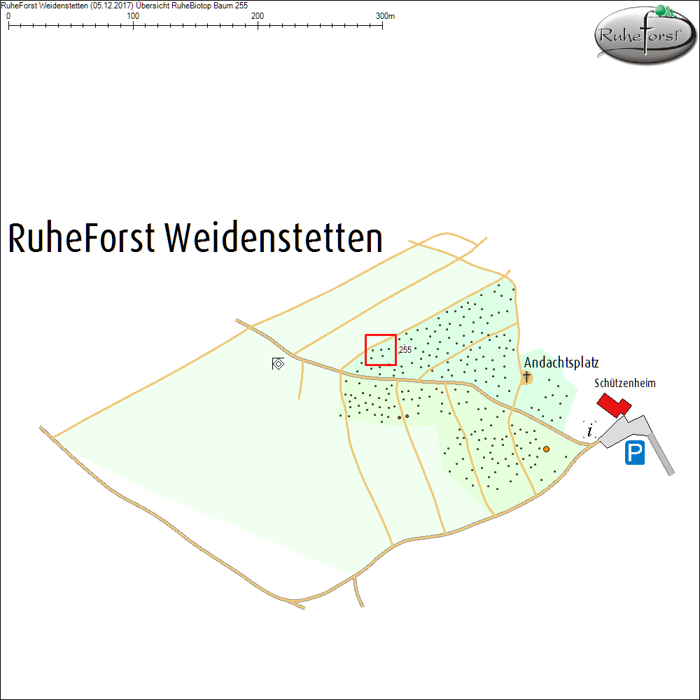 &Uuml;bersichtskarte zu Baum 255