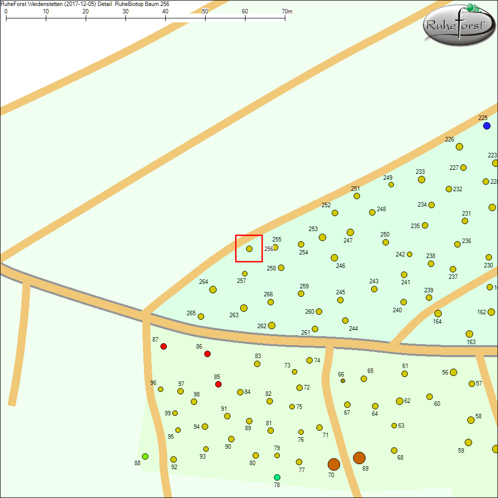 Detailkarte zu Baum 256