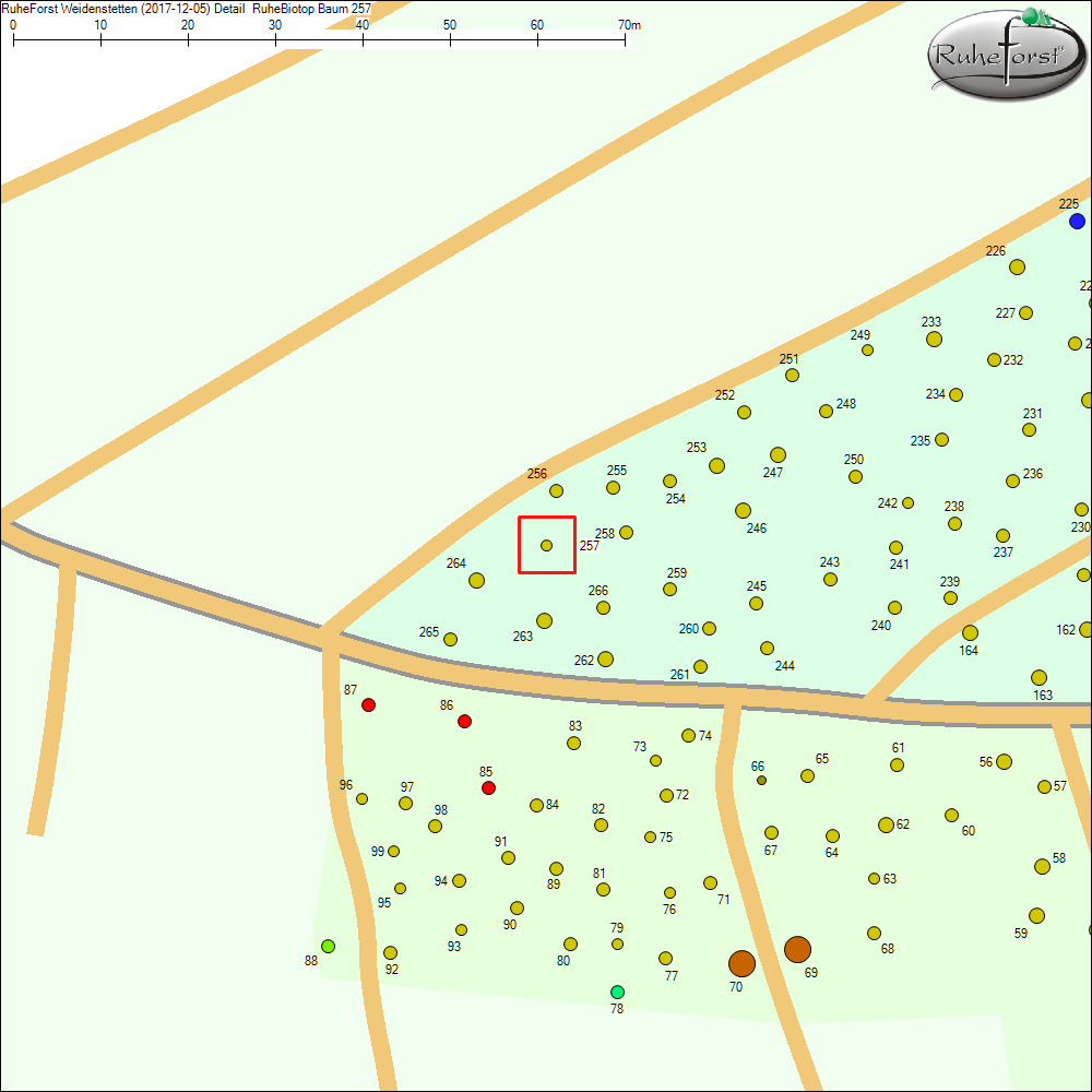Detailkarte zu Baum 257