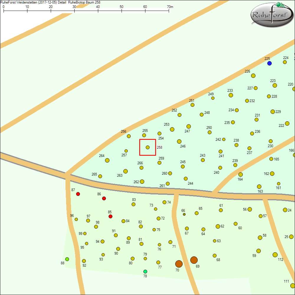 Detailkarte zu Baum 258