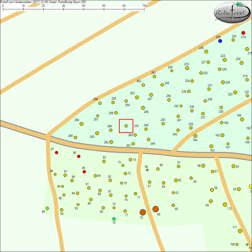 Detailkarte zu Baum 259