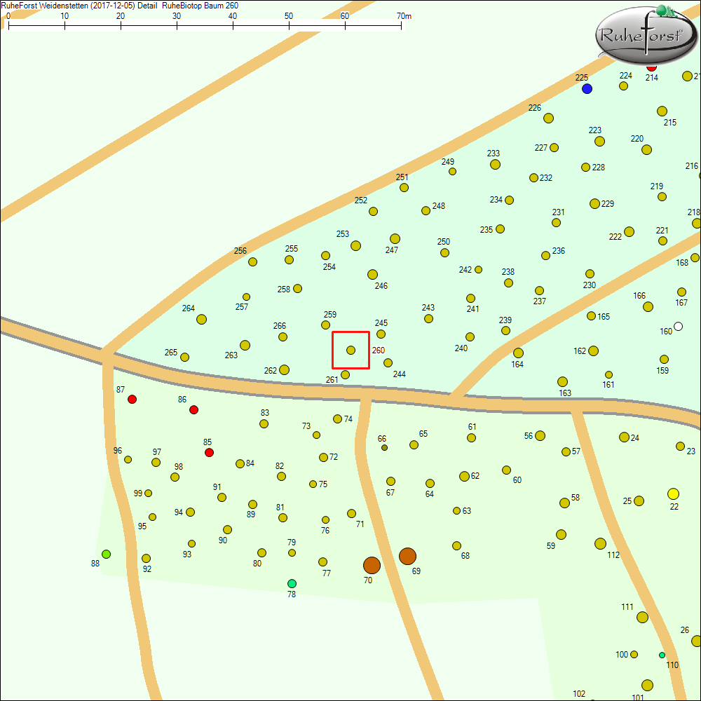 Detailkarte zu Baum 260
