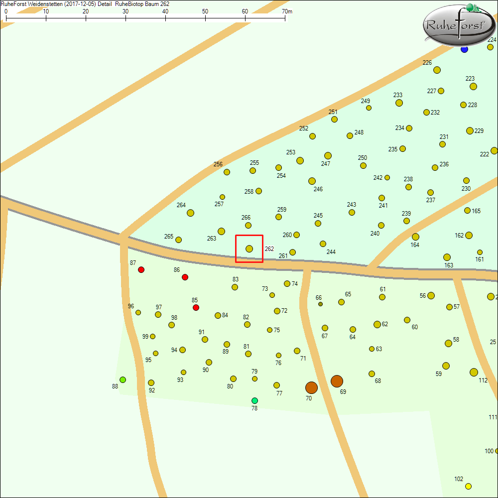 Detailkarte zu Baum 262