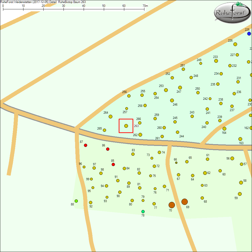 Detailkarte zu Baum 263