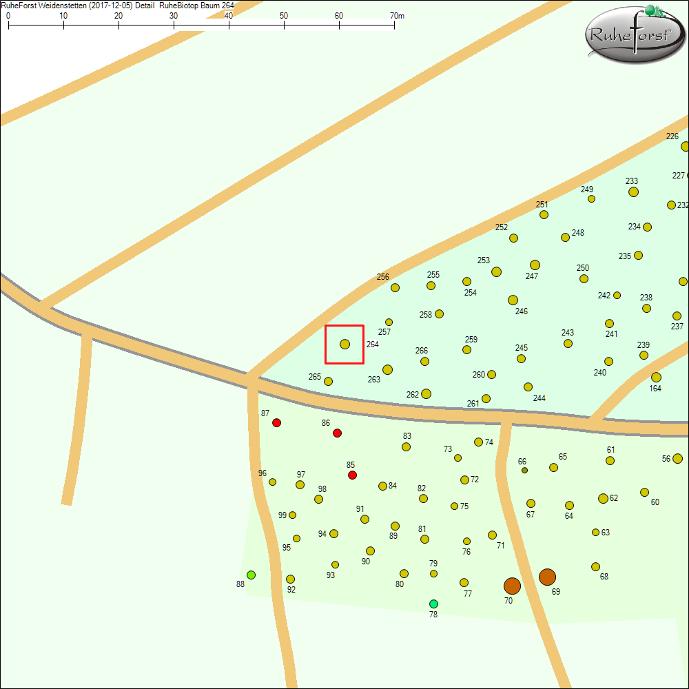 Detailkarte zu Baum 264