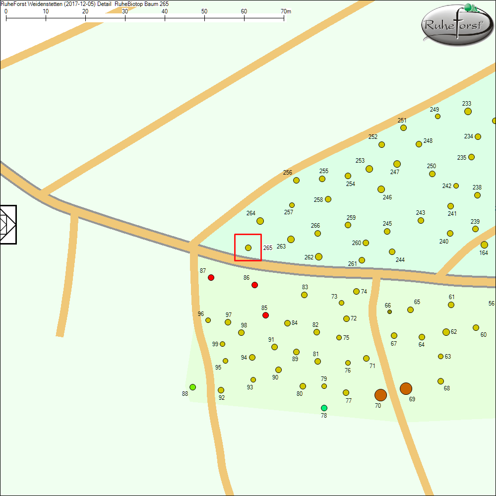 Detailkarte zu Baum 265