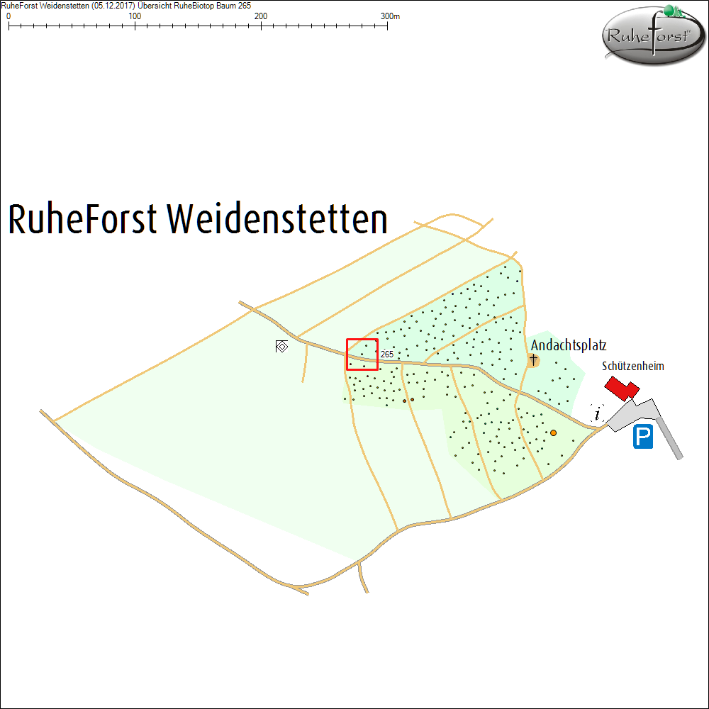 &Uuml;bersichtskarte zu Baum 265
