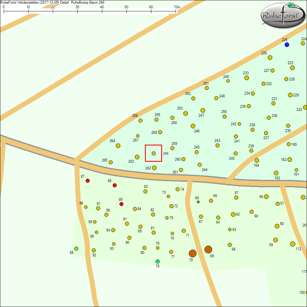 Detailkarte zu Baum 266