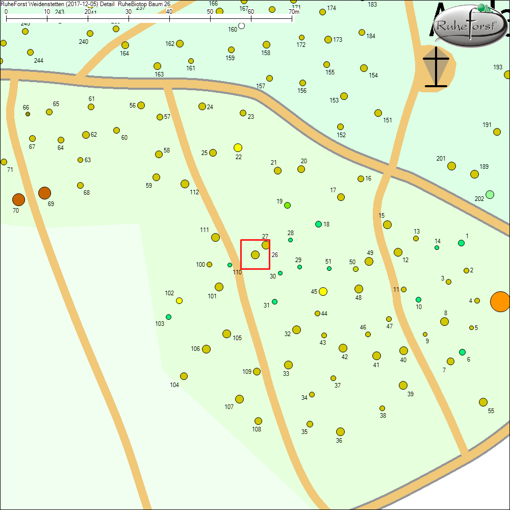 Detailkarte zu Baum 26