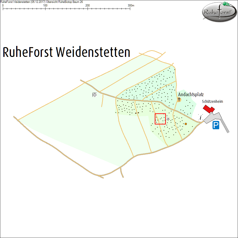 &Uuml;bersichtskarte zu Baum 26