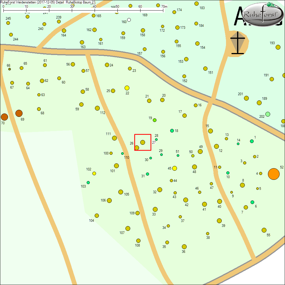 Detailkarte zu Baum 27