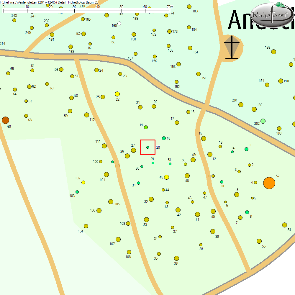 Detailkarte zu Baum 28