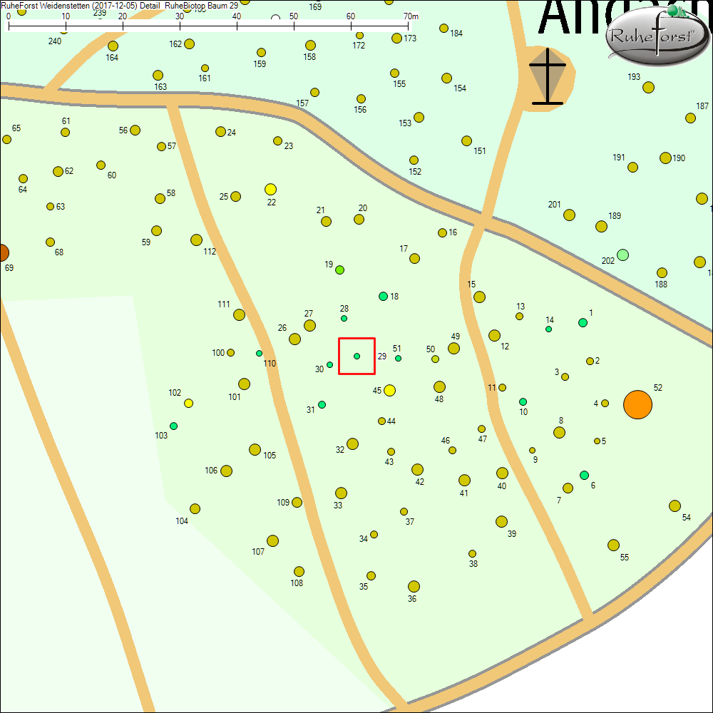 Detailkarte zu Baum 29