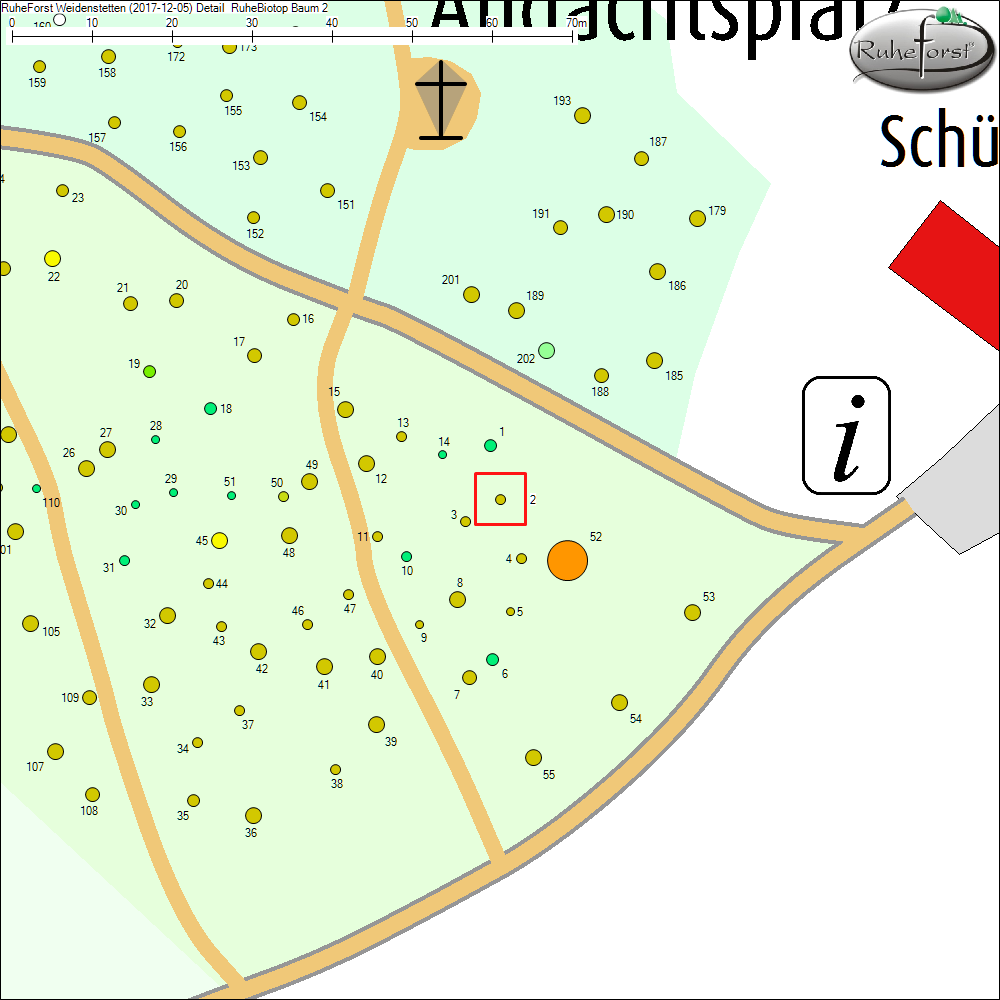 Detailkarte zu Baum 2