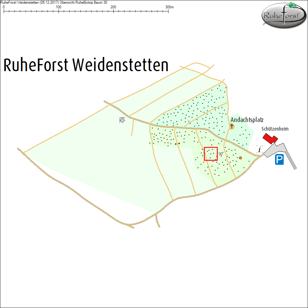 &Uuml;bersichtskarte zu Baum 30
