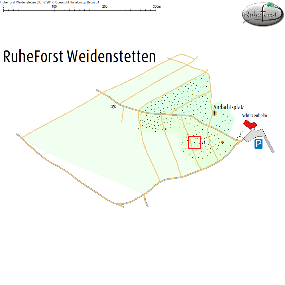 &Uuml;bersichtskarte zu Baum 31