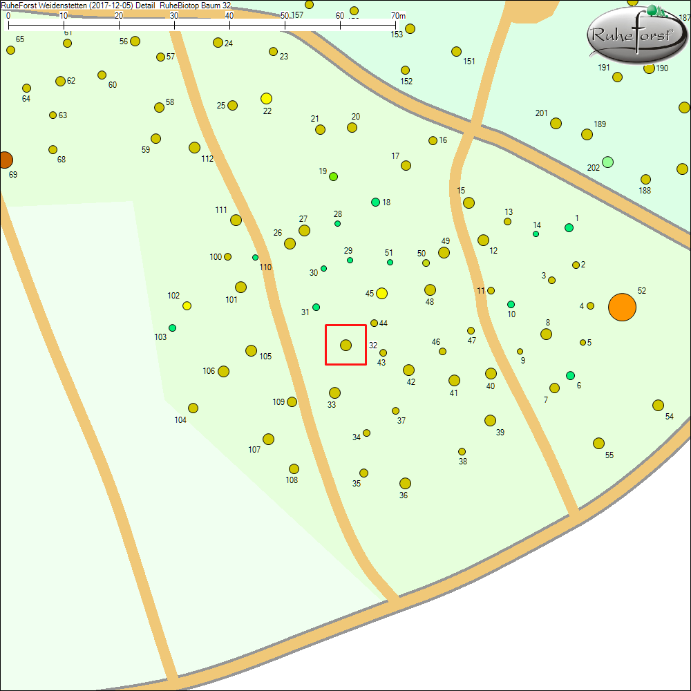 Detailkarte zu Baum 32