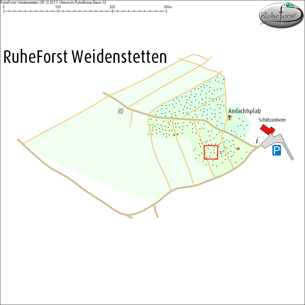 &Uuml;bersichtskarte zu Baum 32