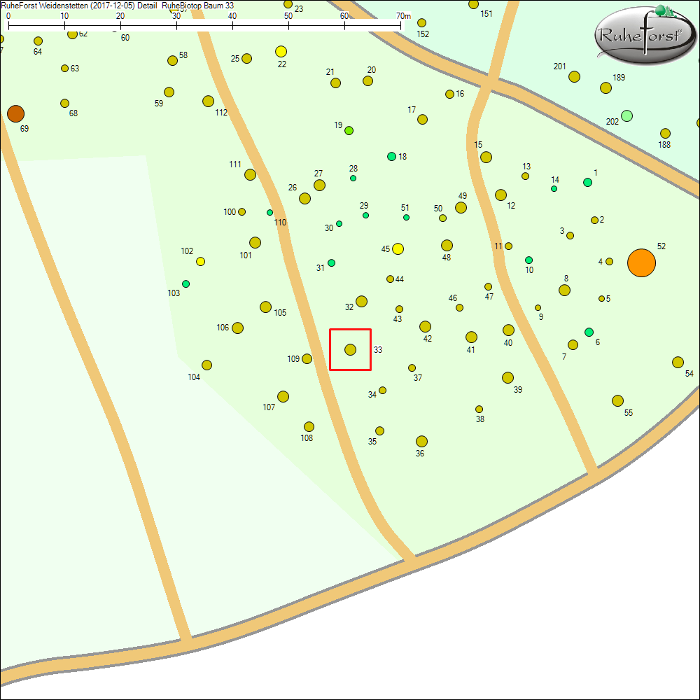 Detailkarte zu Baum 33