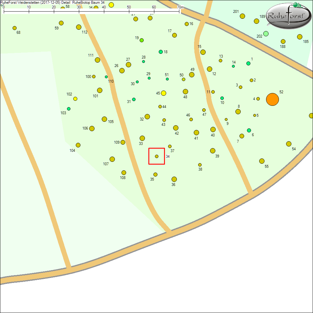 Detailkarte zu Baum 34