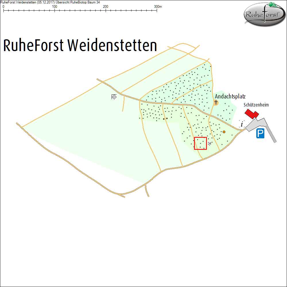 &Uuml;bersichtskarte zu Baum 34