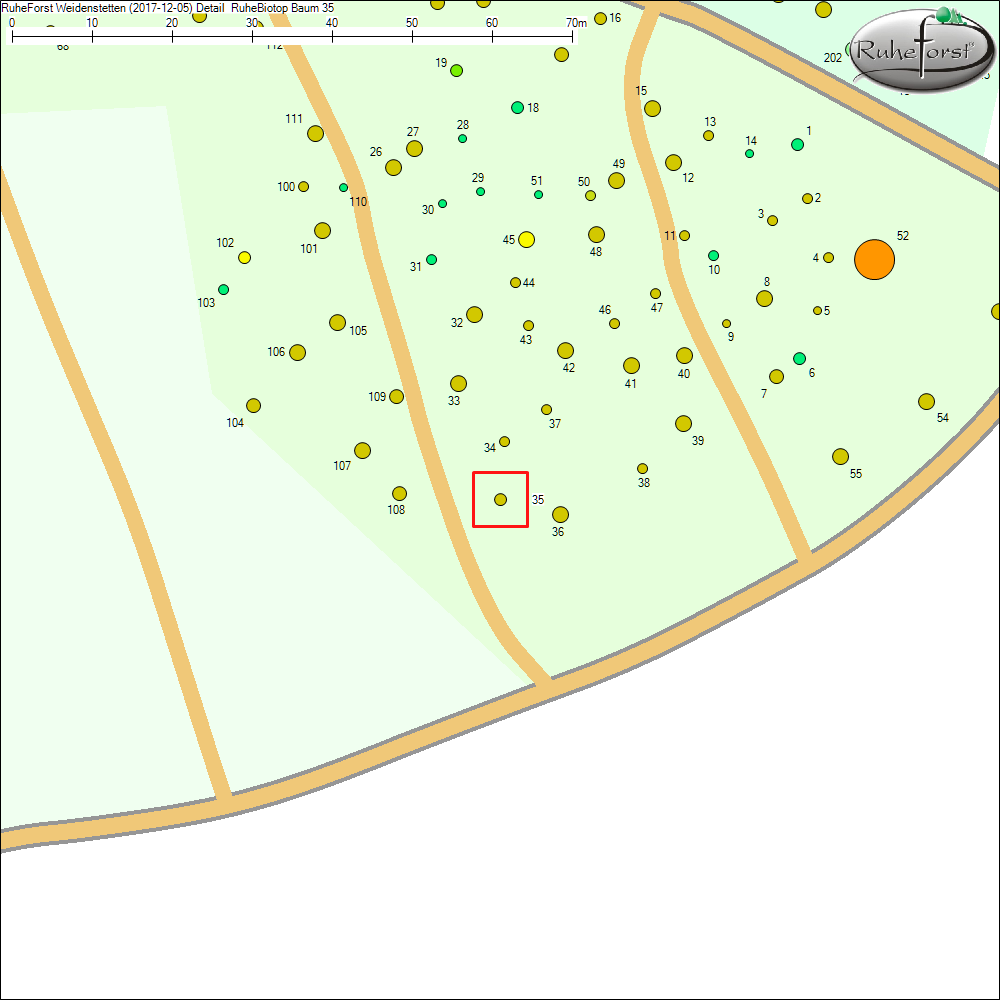 Detailkarte zu Baum 35