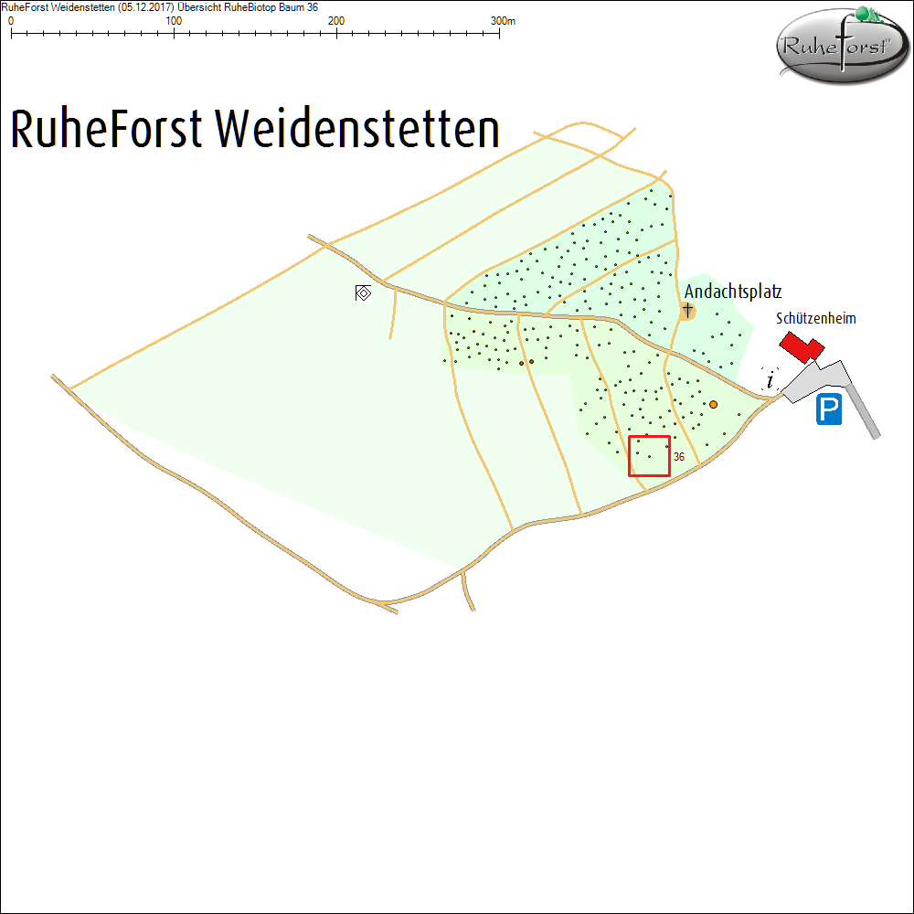 &Uuml;bersichtskarte zu Baum 36