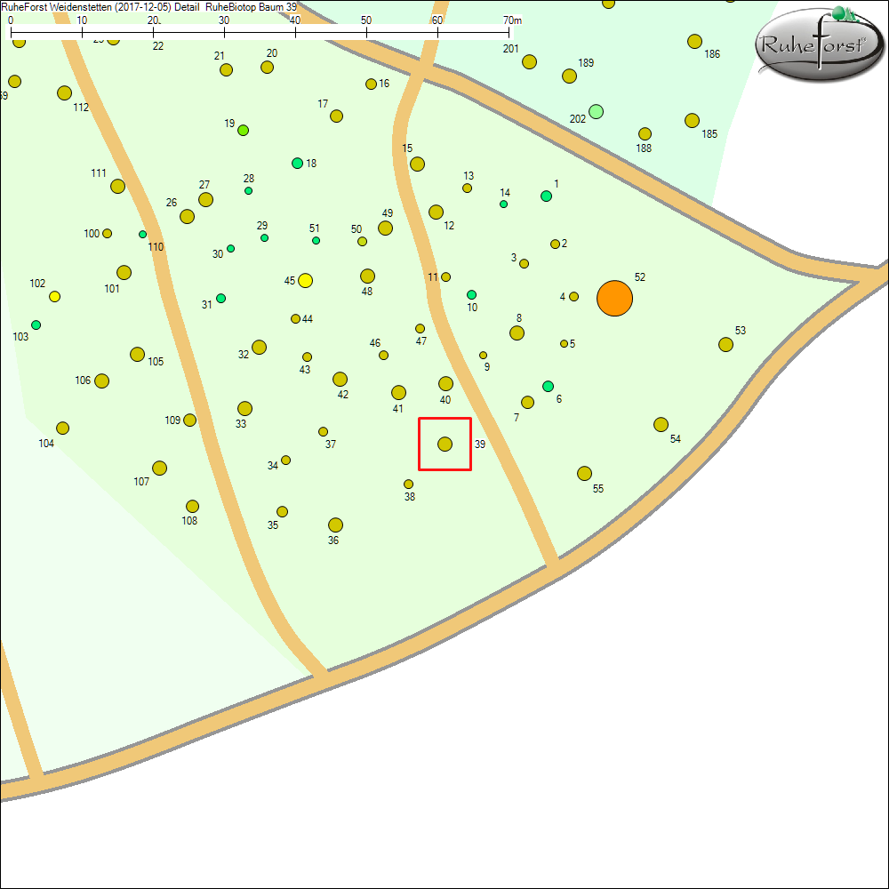 Detailkarte zu Baum 39