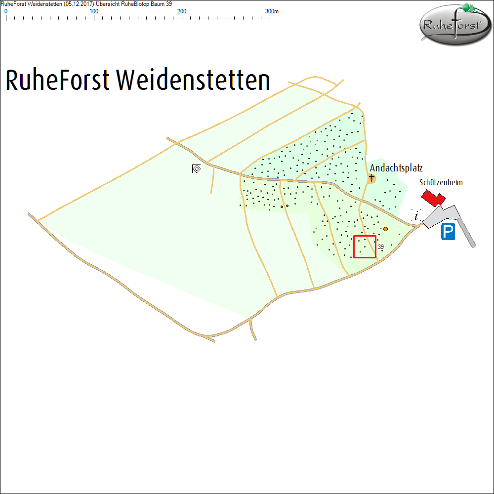 &Uuml;bersichtskarte zu Baum 39