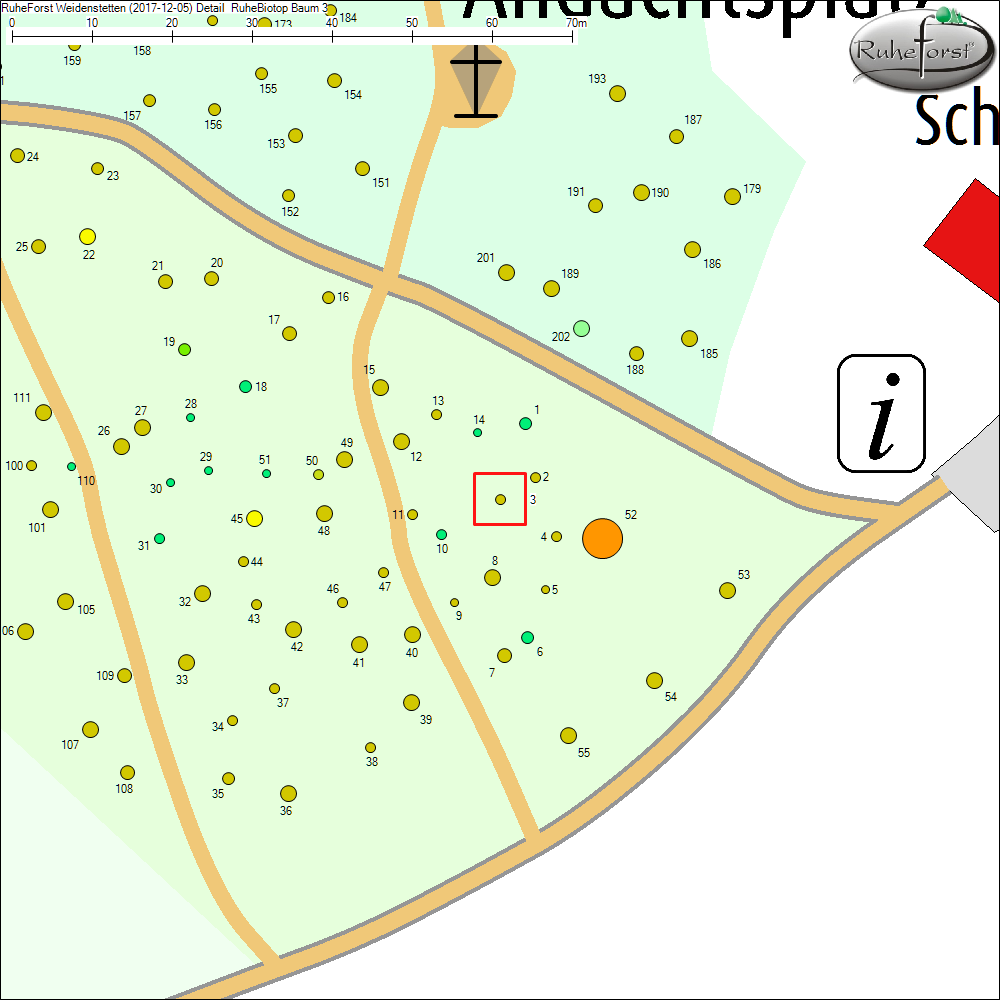 Detailkarte zu Baum 3