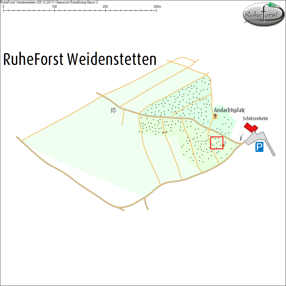 &Uuml;bersichtskarte zu Baum 3
