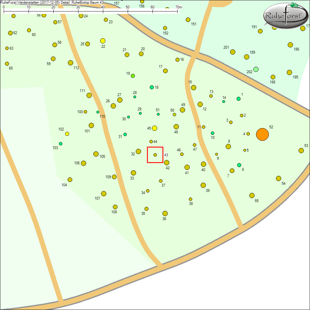 Detailkarte zu Baum 43