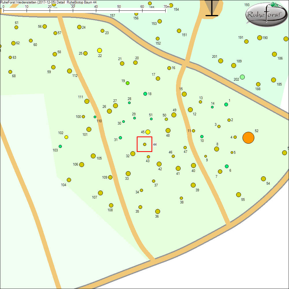 Detailkarte zu Baum 44